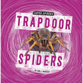 Trapdoor Spiders