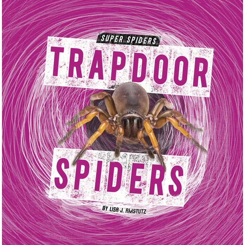 Trapdoor Spiders