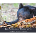The Wonder of Cades Cove