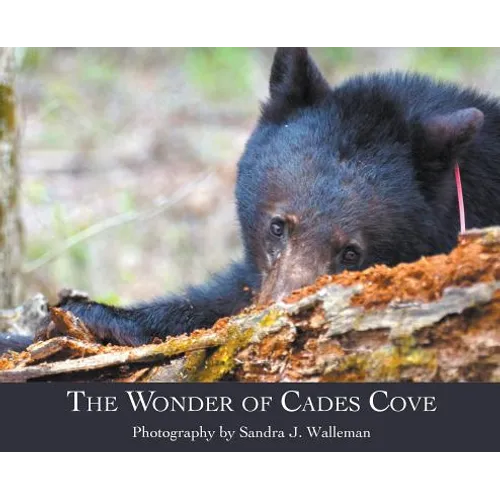 The Wonder of Cades Cove