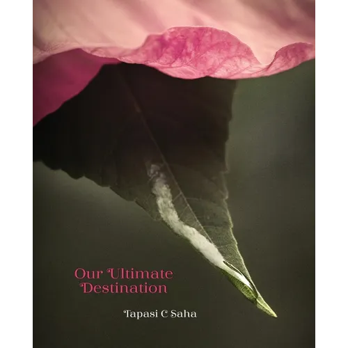 Our Ultimate Destination Paperback