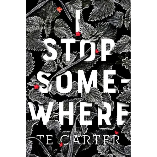 I Stop Somewhere
