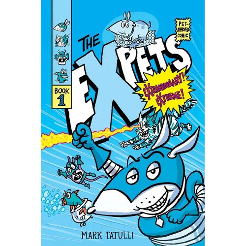 The Expets