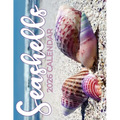 Seashells 2026 Calendar