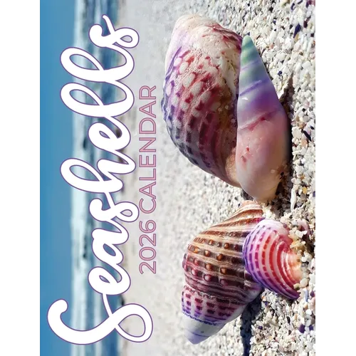 Seashells 2026 Calendar