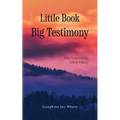 Little Book, Big Testimony: How Vulnerability led to Victory