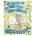 A Guide to San Diego Sea Shells