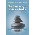 The Best Way to Catch a Snake: A Practical Guide To Gautama Buddha's Teachings
