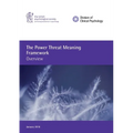 The Power Threat Meaning Framework: Overview