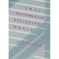 Small, Rectangular, Reflected World