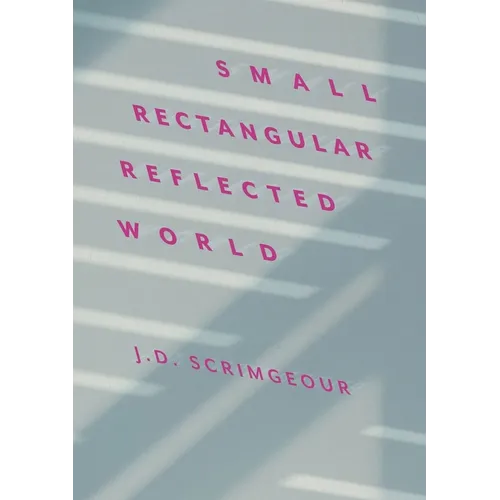 Small, Rectangular, Reflected World