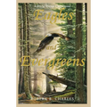 Eagles and Evergreens: A Rural Maine Childhood
