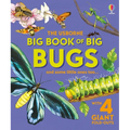 Big Book of Big Bugs