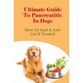 Ultimate Guide To Pancreatitis In Dogs: How To Spot It And Get It Treated: Pancreatitis Diet Recipes