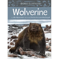 Animals Illustrated: Wolverine