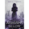Assassins Below: Tales From Haven City