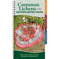 Common Lichens of the Eastern United States: Easily Identify 58 Widespread Types