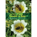 Garden Plants Valuable to Bees
