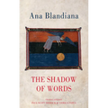 The Shadow of Words