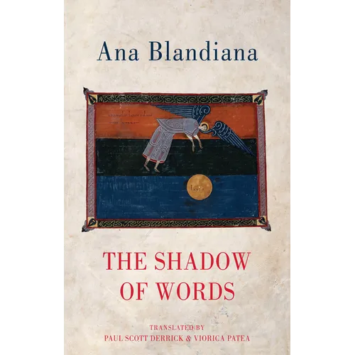 The Shadow of Words