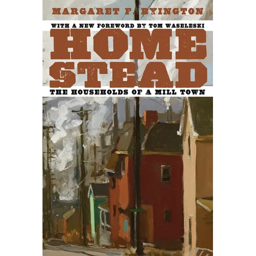 Homestead: The Households of a Mill Town