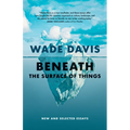 Beneath the Surface of Things: New and Selected Essays