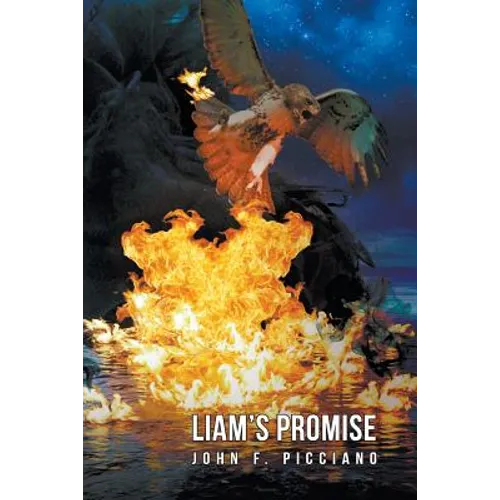 Liam's Promise