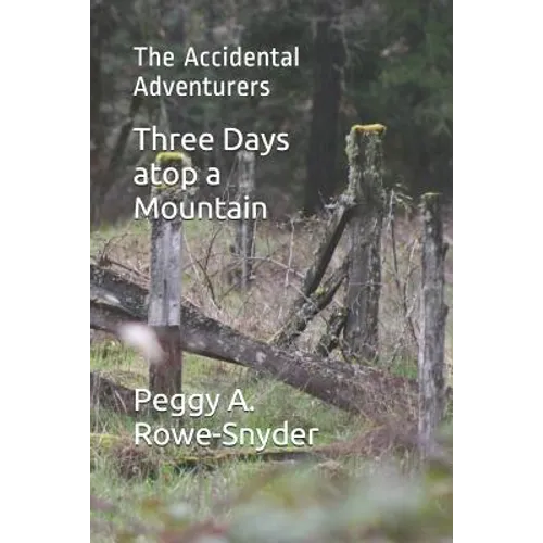 Three Days atop a Mountain: The Accidental Adventurers