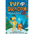 How to Catch Graphic Novels: How to Catch an Elf
