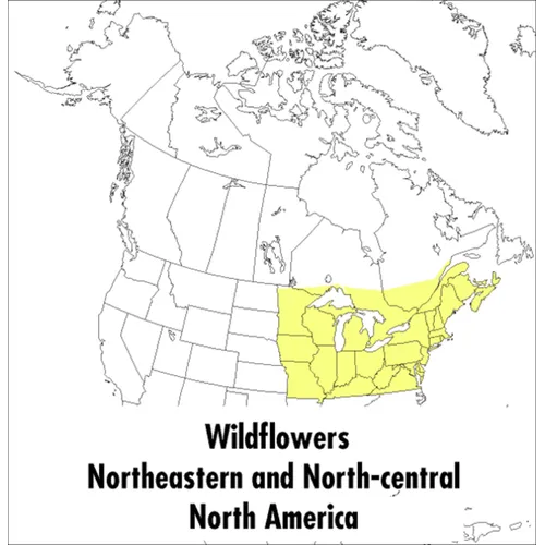 A Peterson Field Guide to Wildflowers: Northeastern and North-Central North America