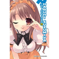The Intrigues of Haruhi Suzumiya (Light Novel)