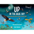 Up in the Blue Sky: Journey from the Earth's Surface to Outer Space