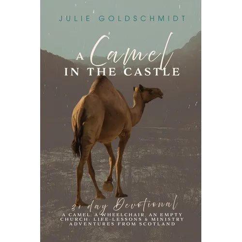 A Camel in the Castle