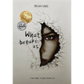 What Breaks Us
