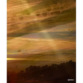 John Chiara: California