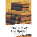 The Life of the Spider