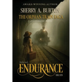 Endurance: A gripping and emotional historical fiction novel inspired by real events