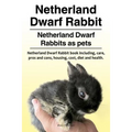 Netherland Dwarf Rabbit. Netherland Dwarf Rabbits as pets. Netherland Dwarf Rabbit book including pros and cons, care, housing, cost, diet and health.