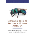 Common Bees of Western North America