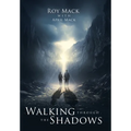 Walking through the Shadows
