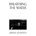 Breathing the Water