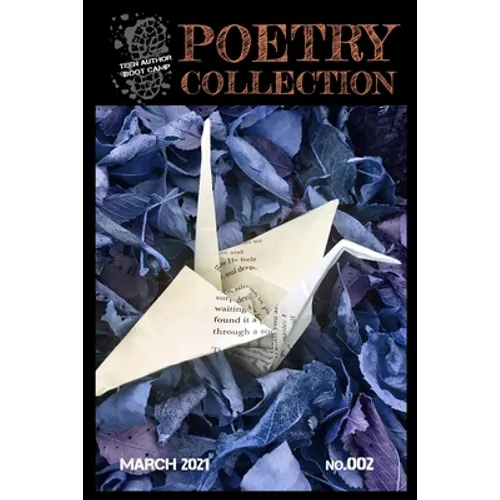 Teen Author Boot Camp Poetry Collection: Volume 2