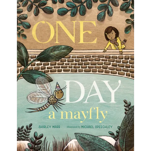 One Day a Mayfly