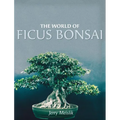 The World of Ficus Bonsai