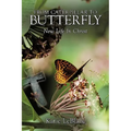 From Caterpillar to Butterfly: New Life in Christ