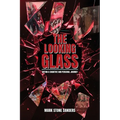 The Looking Glass: Within a Cognitive and Personal Journey