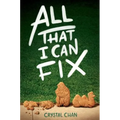 All That I Can Fix