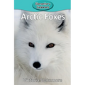 Arctic Foxes