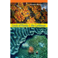 Corals of Florida and the Caribbean