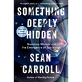 Something Deeply Hidden: Quantum Worlds and the Emergence of Spacetime